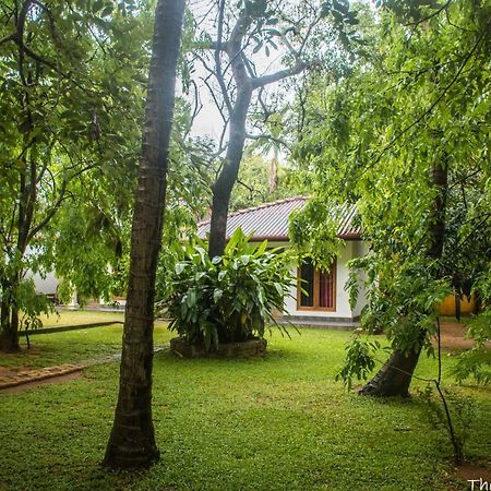 Hotel The Calm Cabana Dambulla Exterior foto