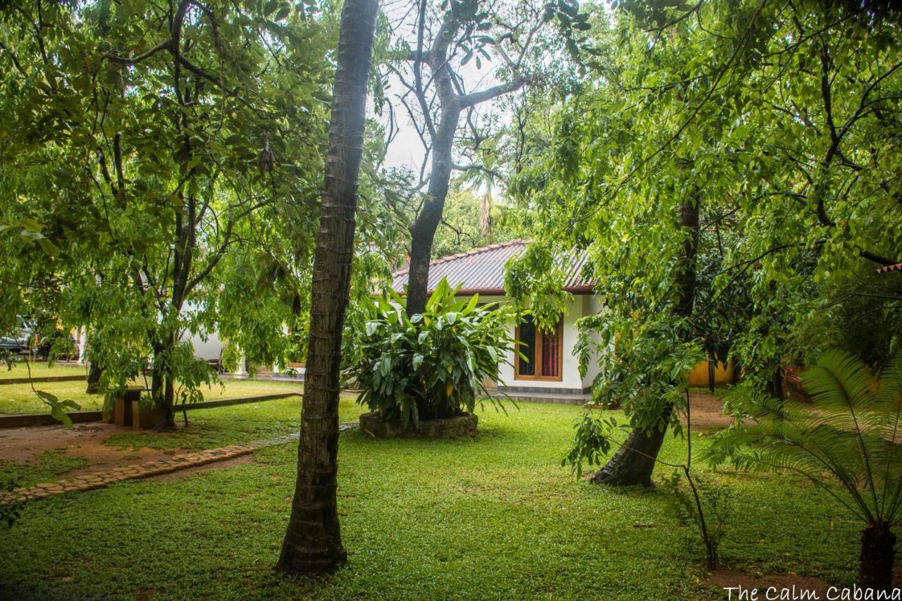 Hotel The Calm Cabana Dambulla Exterior foto