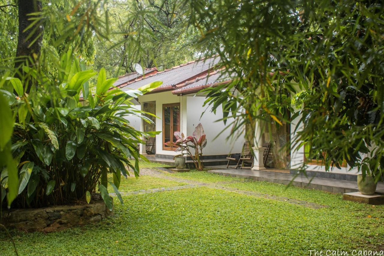 Hotel The Calm Cabana Dambulla Exterior foto