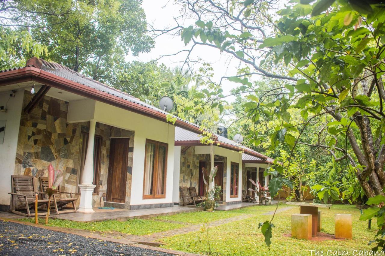 Hotel The Calm Cabana Dambulla Exterior foto