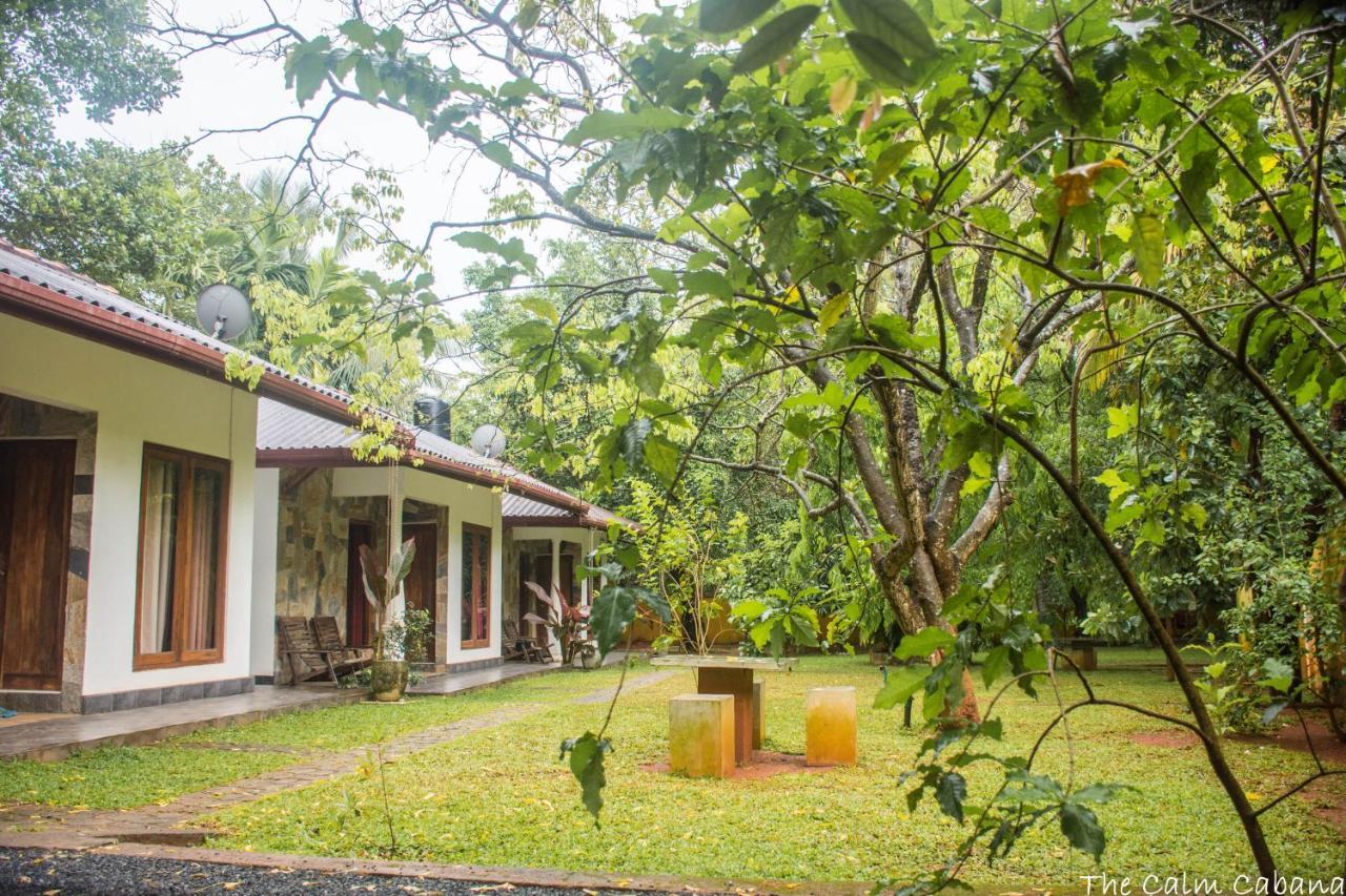 Hotel The Calm Cabana Dambulla Exterior foto