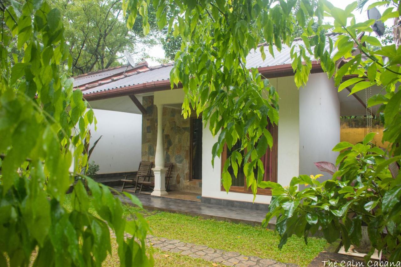 Hotel The Calm Cabana Dambulla Exterior foto