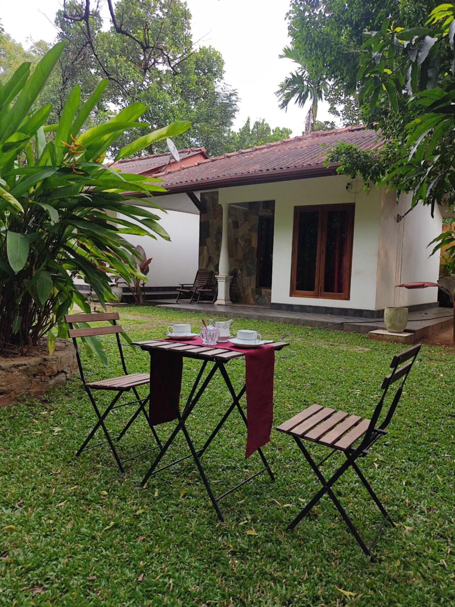 Hotel The Calm Cabana Dambulla Zimmer foto